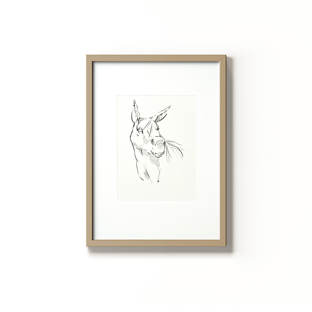 Mule With An Attitude