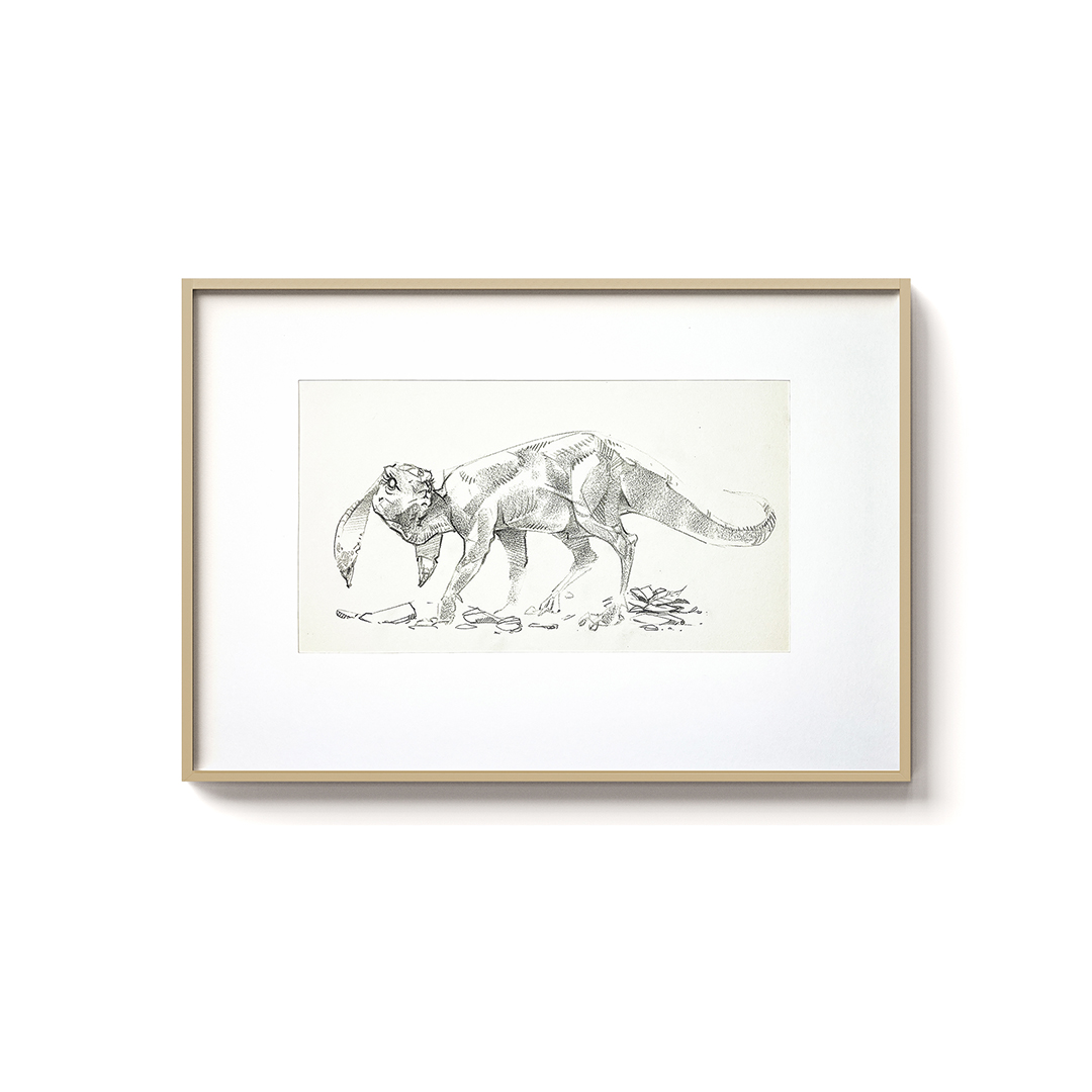 Rabbit Lizzard Creature