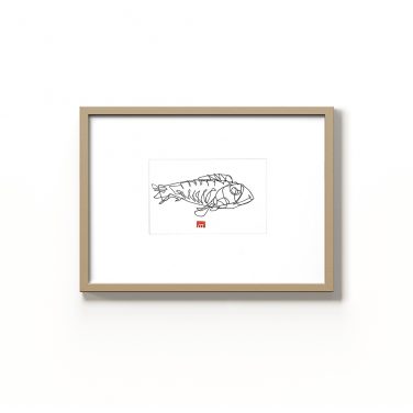 Fish Fish