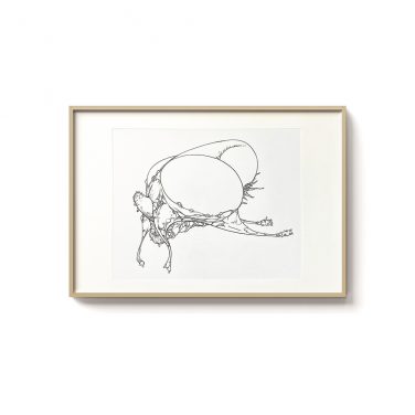 Insectoid Insectoid