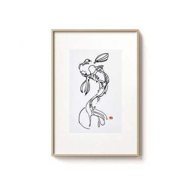 Koi 01 Koi 01