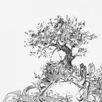 3DTotal Tutorial „Scene Elements“ Sketches 3DTotal Tutorial „Scene Elements“ Sketches