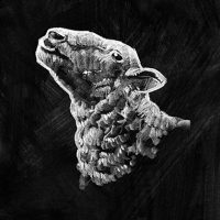 COMPO Crayon Illustration COMPO Crayon Illustration