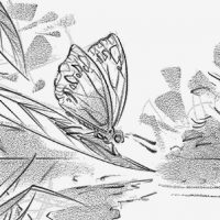 Sony Storyboard 1